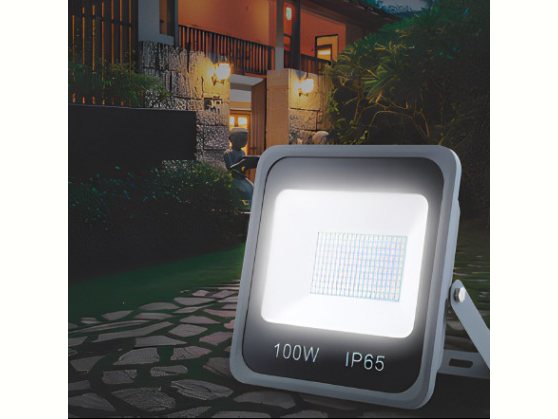 Projecteur 100 W IP65